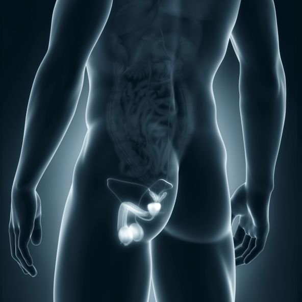 http://www.lifeline.de/img/prostatakrebs/origs128885/4239472198-w1500-h1500/prostatakerbs-vorsorge-ultraschall-biopsien.jpg