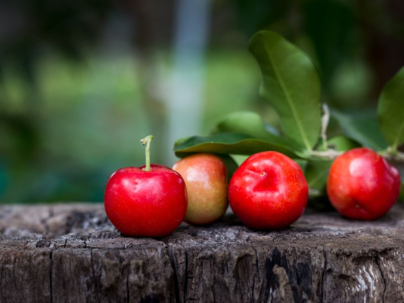 Superfood Acerola-Kirsche