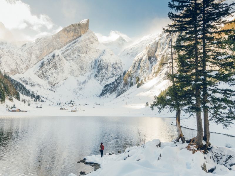 Natur genießen bei Winterblues