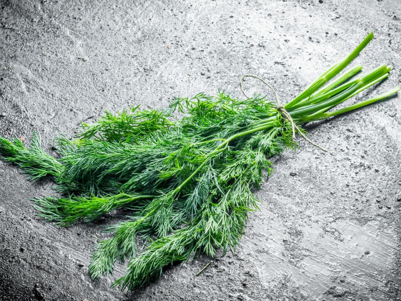 Dill hilft beim Abnehmen ohne Hunger