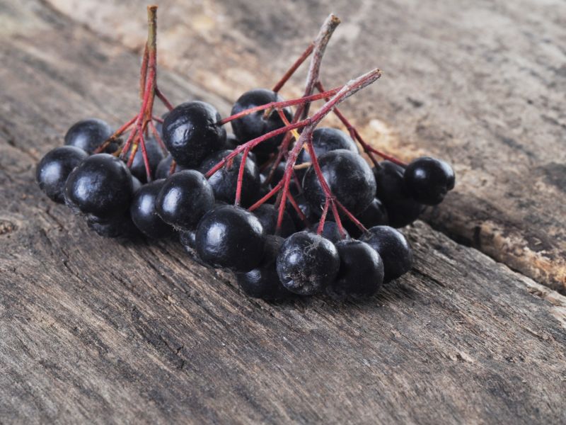 Aronia ist ein Superfood