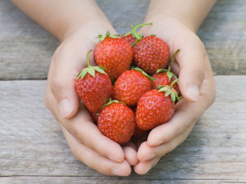 Folsäure in Lebensmitteln: Erdbeeren