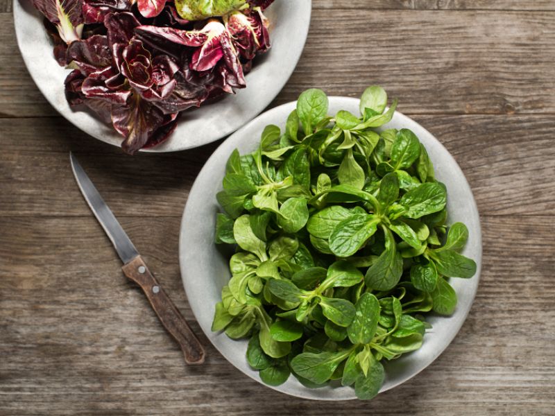 Salat liefert Vitamine und wenig Fett