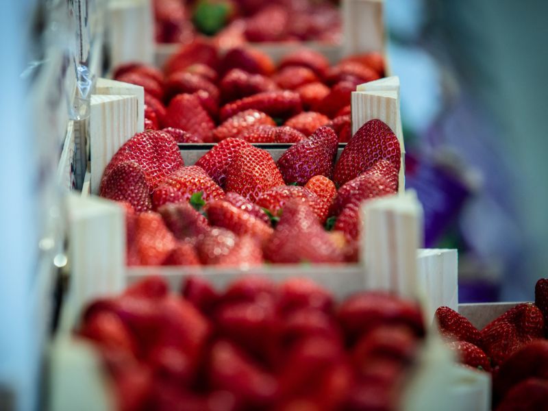 Folsäure in Lebensmitteln: Erdbeeren