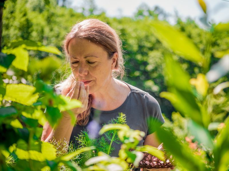 Wildkräuter sammeln: Worauf achten?