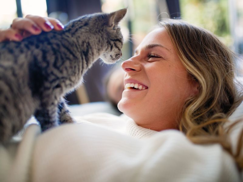 Die Katze stellt eine Verbindung zur sensiblen Seite im Menschen her und verkörpert die kapriziöse, elegante, machtvolle, aber auch selbstgenügsame Seite der Weiblichkeit. Katze