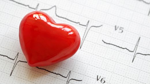 heart cycle.jpg