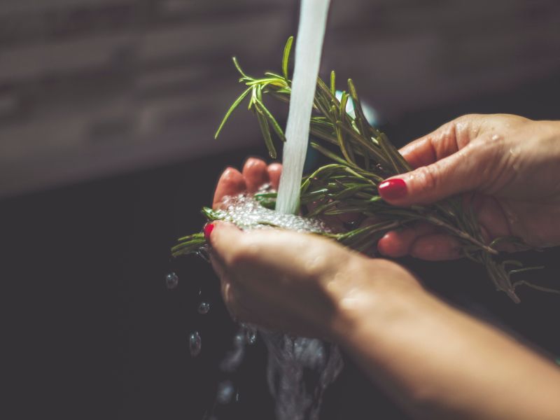 Beim Kochen ist Rosmarin unverzichtbar für feine Lammgerichte. Doch auch in der Naturheilkunde spielt das Kraut eine wichtige Rolle. Rosmarin fördert die Durchblutung. Eine leichte Massage mit Rosmarinöl tut deshalb bei steifen, schmerzenden Gelenken besonders gut. Das Öl gibt es in Apotheken und Reformhäusern zu kaufen. Gewonnen wird das ätherische Öl aus dem blühenden Kraut und zwar durch sogenannte Wasserdampfdestillation. Rosmarin