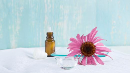 Echinacea: Homeopathic globules