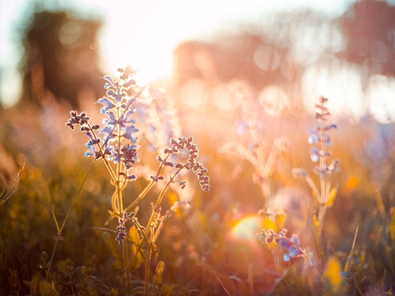 Zecken sind nicht nur im Sommer aktiv