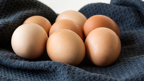 Forbidden foods for high cholesterol: what to avoid