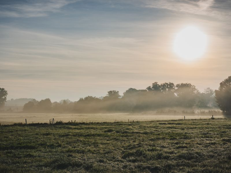 Tageslicht vertreibt Frühjahrsmüdigkeit