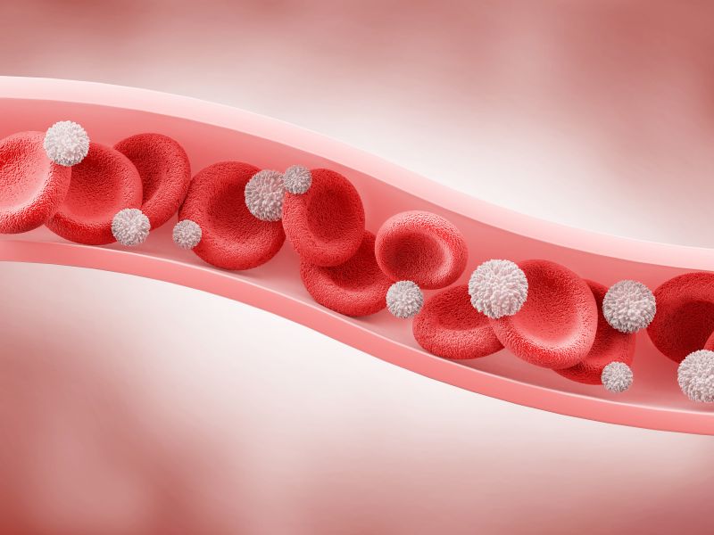 Untersuchung bei Blutbild: Leukozyten