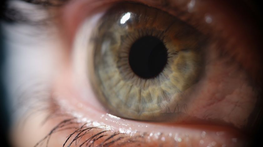 Netzhautablösung: Schnelle Hilfe bei schwarzen Flecken im Auge