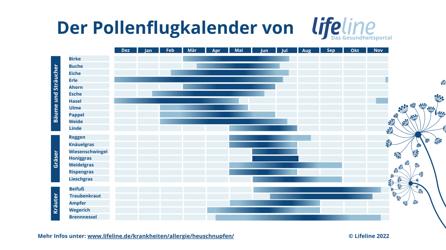 Pollenflugkalender • Pollenflug-Übersicht hier downloaden!