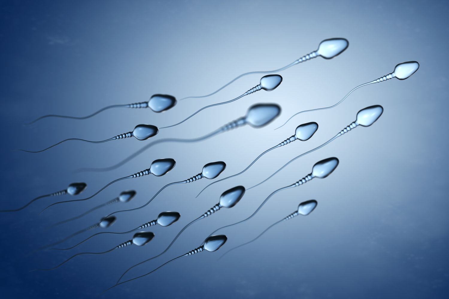 Spermiogramm: Wie funktioniert der Fruchtbarkeitstest für Männer? –