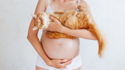 Toxoplasmosis: Cats as carriers
