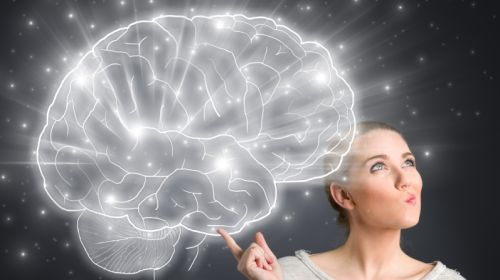 Brain: Myths and Surprising Facts