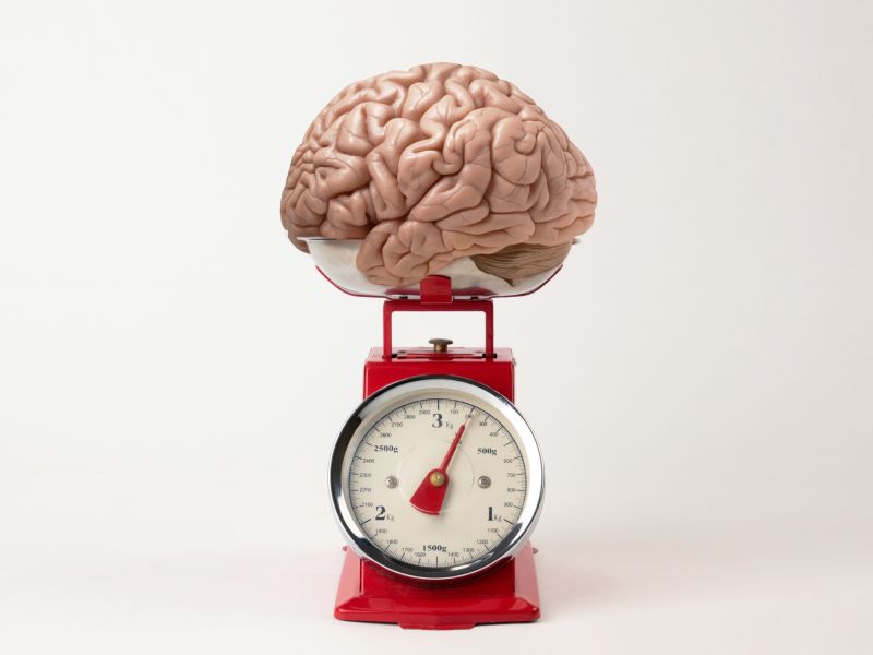 Fakten: Wie viel wiegt das menschliche Gehirn?