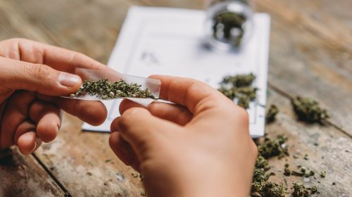 20 Facts About Cannabis: Did You Know?