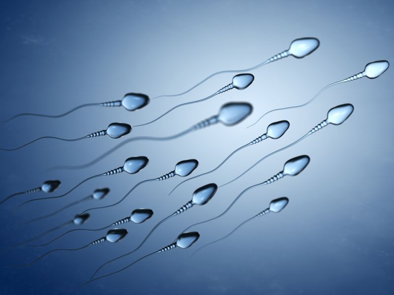 Das Prostatasekret ist Teil des Spermas