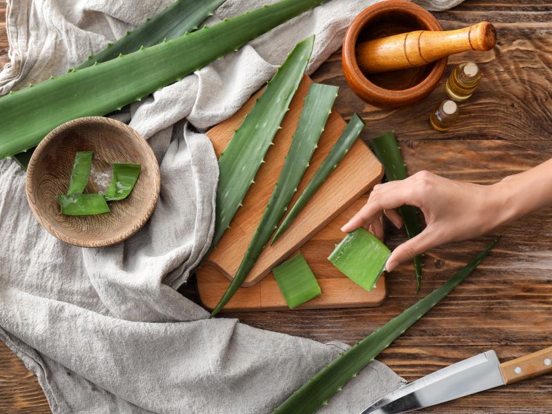 Aloe vera: Hausmittel gegen Mückenstiche