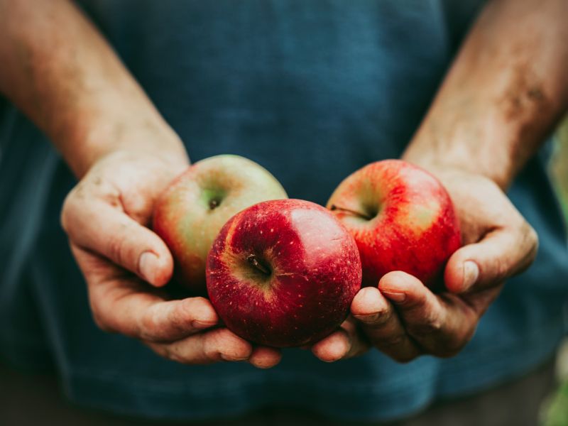 Äpfel können Cholesterin senken