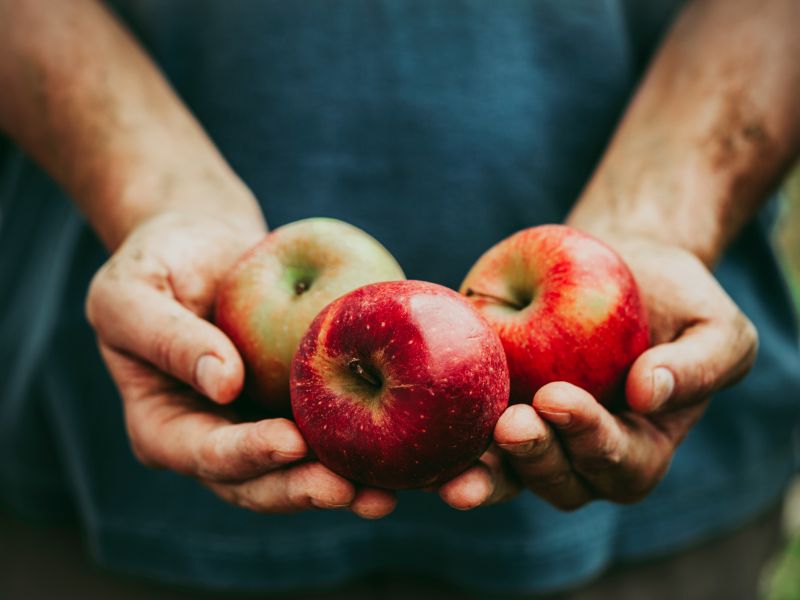 Obst hat einen positive Effekt auf die Blutfettwerte. Zum Beispiel Äpfel: Enthaltene Ballaststoffe regen die Fettverdauung an und binden cholesterinhaltige Gallensäure, was den Blutfettspiegel reguliert. Äpfel können Cholesterin senken