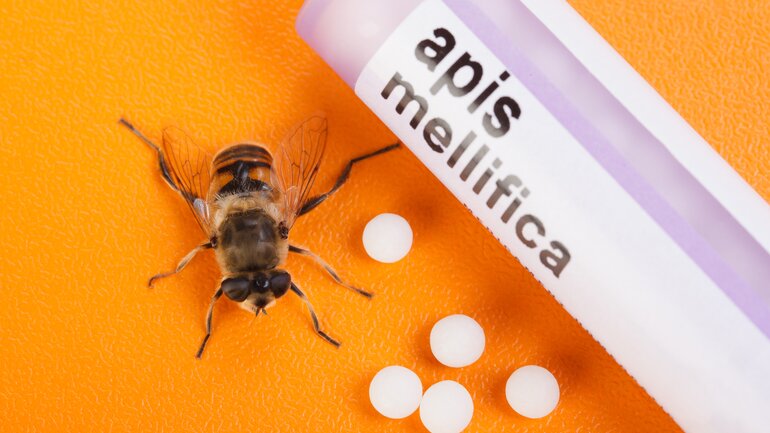 apis mellifica