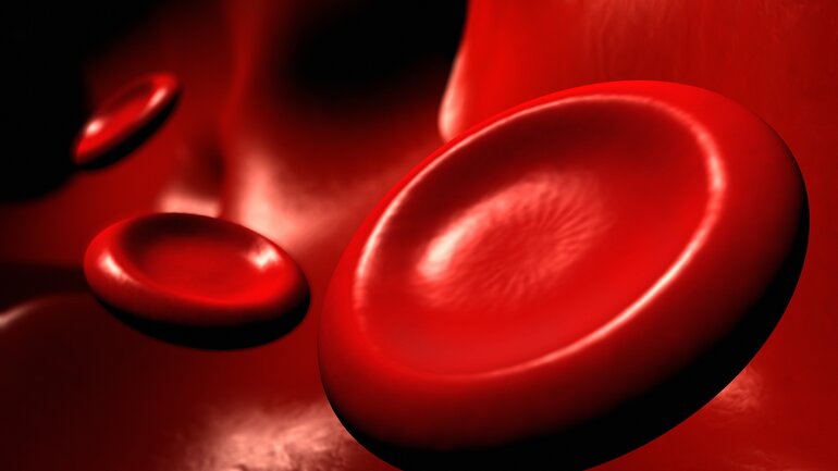 Erythrozyten: Rote Blutkörperchen