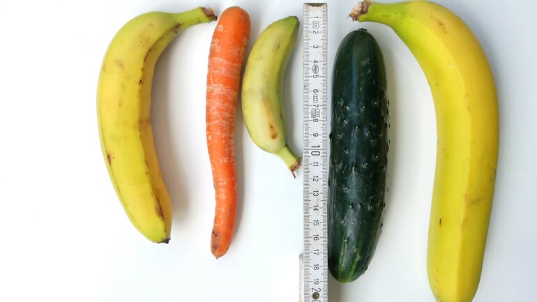 Mythos Riesenpenis
