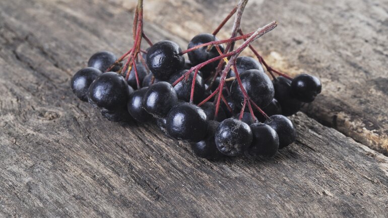 Aronia ist ein Antioxidationsmittel