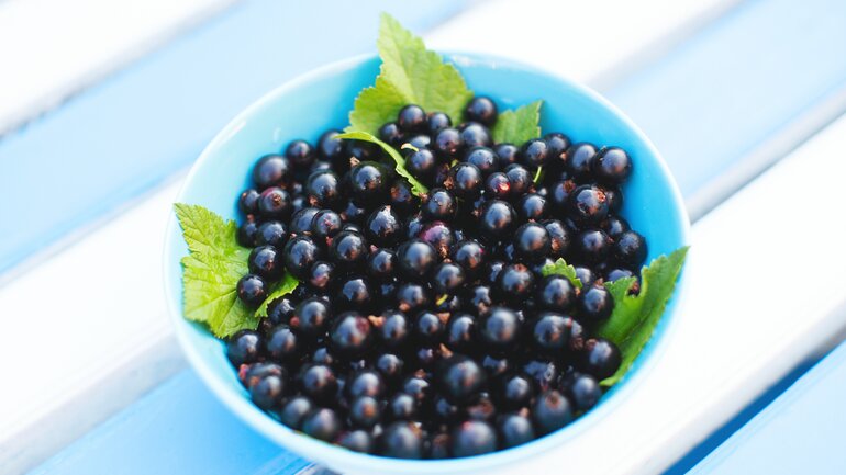Schwarze Johannisbeeren neutralisieren freie Radikale