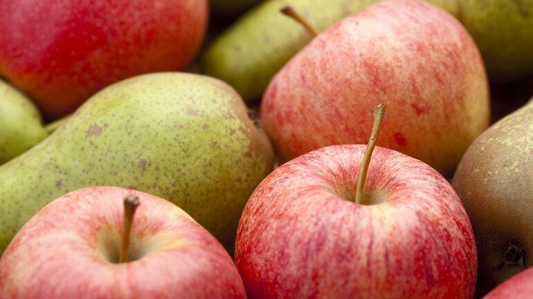 Äpfel sind ein antioxidatives Lebensmittel