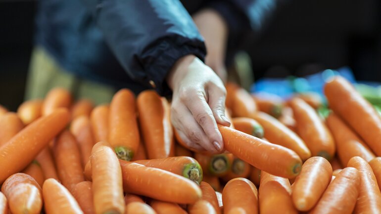 Karotten punkten mit antioxidativen Wirkstoffen