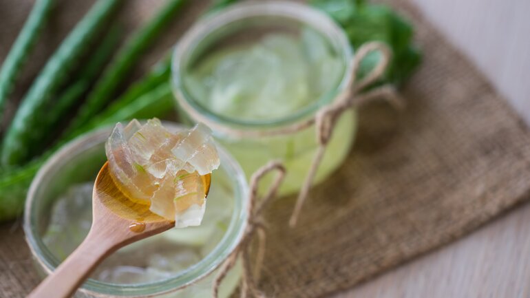 Aloe vera: Aphthen mit Hausmitteln behandeln