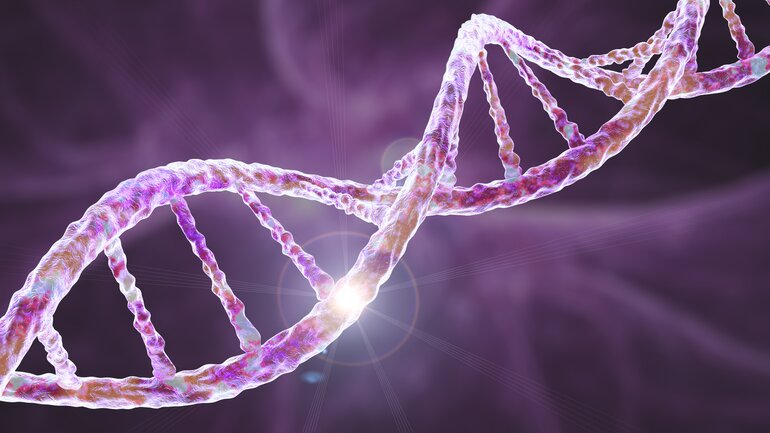 Berühmte Studie: Human Genome Project (1990-2003)
