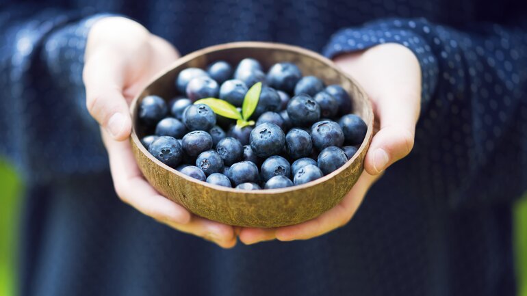Heidelbeeren naschen und Entzündungen hemmen