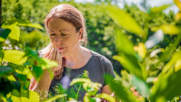 Wildkräuter sammeln: Worauf achten?