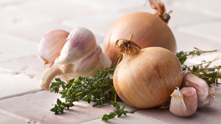 Knoblauch und Zwiebeln schützen das Girn