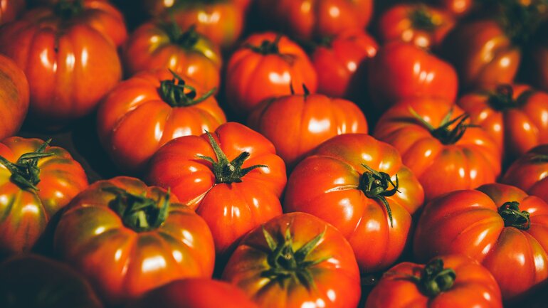 Tomaten gehören zu den gesündesten Lebensmitteln