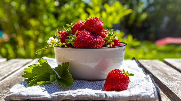 Erdbeeren gehören zum gesunden Superfood
