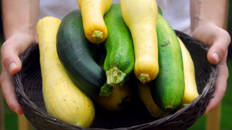 Gift in Lebensmitteln: Bittere Zucchini