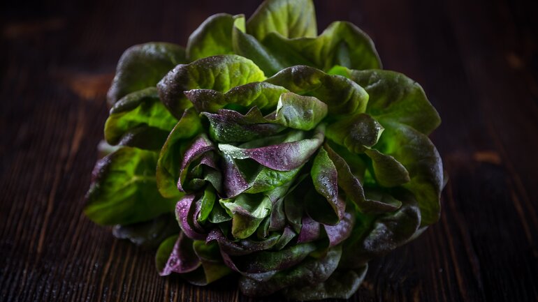 Blattsalate enthalten kein Gluten