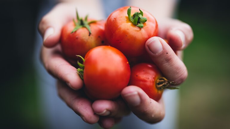 Geschwollene Hände? Tomaten können helfen