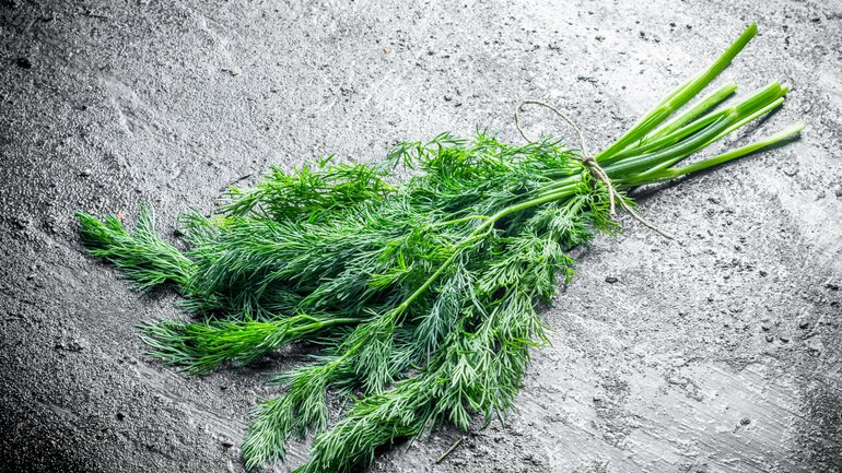 Dill kann Blähungen lindern