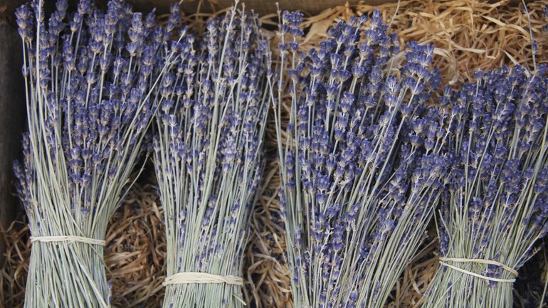 Hausmittel gegen Blähungen: Lavendel