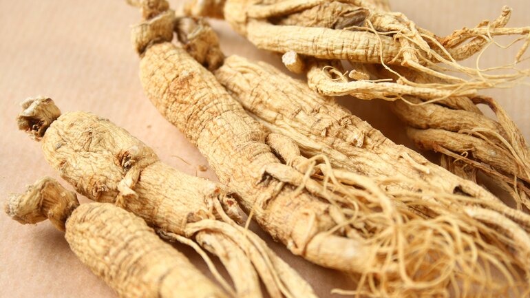 Ginseng gegen Helicobacter