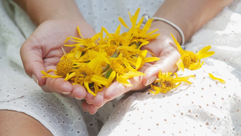 Arnica lindert Beschwerden von Herz und Kreislauf