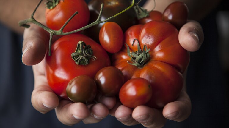 Lebensmittel gegen Allergien: Tomaten